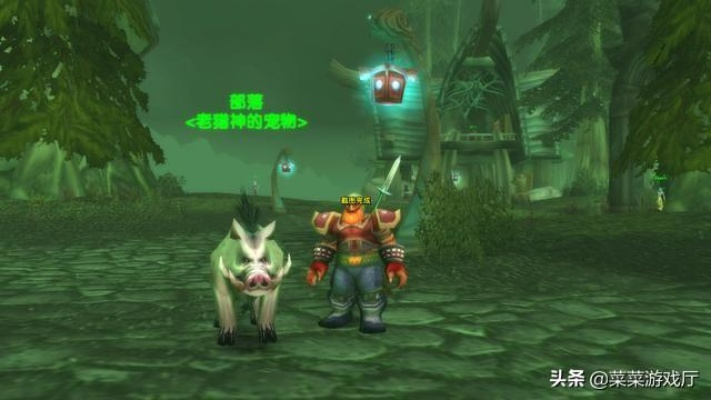 魔兽世界1.12版本猎人职业升级宠物推荐攻略：精通宠物选择与养成技巧