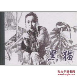 黑猫奇闻社揭秘:神秘的引子狐狸与华表之谜详解 黑猫奇闻社揭秘:神秘的引子狐狸与华表之谜详解