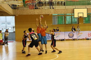 泰安老铁篮球俱乐部:打造篮球之家,培养篮球新秀,助力青少年篮球梦想的实现