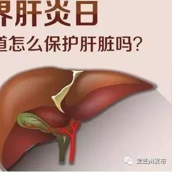 (护肝修仙)养生之道:修个肝仙不减反增版——探索肝功能增强的健康秘密 (护肝修仙)养生之道:修个肝仙不减反增版——探索肝功能增强的健康秘密