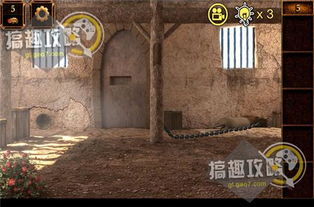 (无锡密室逃脱法老归来攻略)揭秘无锡法老归来密室之谜,密室攻略全方位解析!