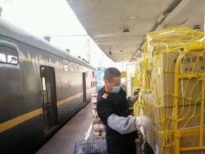 (成都火车可以托运宠物吗)成都到马兰火车旅行:是否可以携带宠物猫一同出行? (成都火车可以托运宠物吗)成都到马兰火车旅行:是否可以携带宠物猫一同出行?