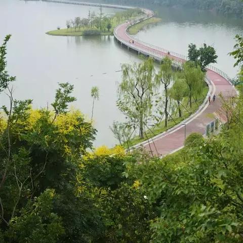 (双境第五集)探秘双境之城动漫:跨越现实与幻想的奇幻冒险旅程 (双境第五集)探秘双境之城动漫:跨越现实与幻想的奇幻冒险旅程