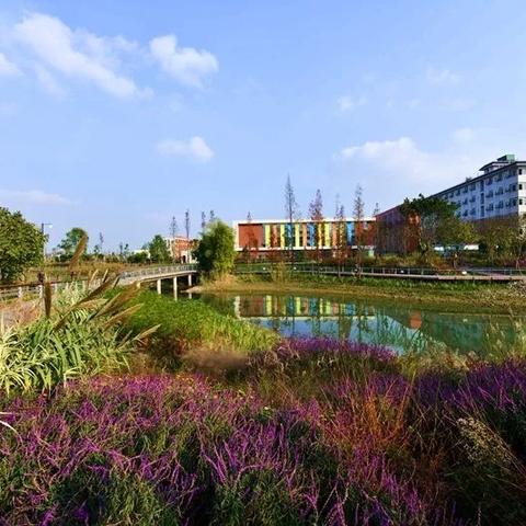 (闪亮亮的生活)闪亮的我们:在生活的舞台上绽放自我,书写辉煌人生的每一步