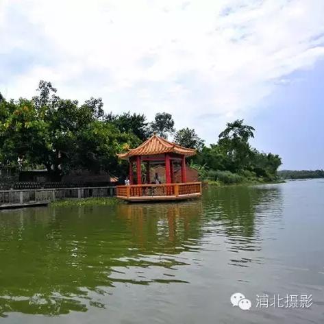(神秘的森林王国画画)神秘森林王国开大会，鸟语花香，动植物共议未来-作文300字左右