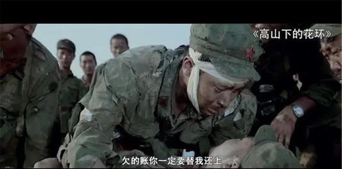 (高山下的花环哪个部队)在高山下的花环502原型,诉说着自然与科技共融的奇妙之美