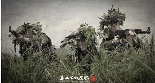 (高山下的花环哪个部队)在高山下的花环502原型,诉说着自然与科技共融的奇妙之美 (高山下的花环哪个部队)在高山下的花环502原型,诉说着自然与科技共融的奇妙之美